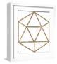 Geo Hexagon Luxe-Otto Gibb-Framed Giclee Print