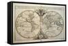 Geo-Hydrographic Map of the World-null-Framed Stretched Canvas