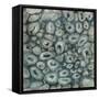 Geo I-Farrell Douglass-Framed Stretched Canvas