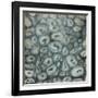 Geo II-Farrell Douglass-Framed Giclee Print