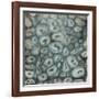 Geo II-Farrell Douglass-Framed Giclee Print