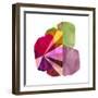 Geo Mono Block I-Sisa Jasper-Framed Art Print