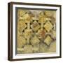 Geo Mosaic - Detail I-Douglas-Framed Giclee Print