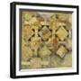 Geo Mosaic - Detail I-Douglas-Framed Giclee Print