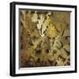 Geo Mosaic - Detail II-Douglas-Framed Giclee Print