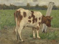 Study of a White Cow Standing on a Pole in a Meadow-Geo Poggenbeek-Art Print