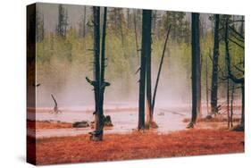 Geo Thermal Trees, Yellowstone National Park-null-Stretched Canvas