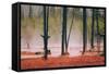 Geo Thermal Trees, Yellowstone National Park-null-Framed Stretched Canvas