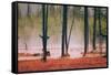 Geo Thermal Trees, Yellowstone National Park-null-Framed Stretched Canvas