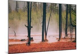 Geo Thermal Trees, Yellowstone National Park-null-Mounted Photographic Print
