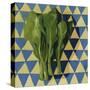 Geo Veggies I-Emma Scarvey-Stretched Canvas