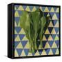 Geo Veggies I-Emma Scarvey-Framed Stretched Canvas