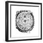 Geocentric or Earth-Centred Universe, C1617-null-Framed Giclee Print
