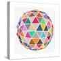 Geodesic-Garima Dhawan-Stretched Canvas