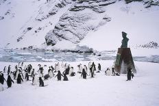 Gentoo Penguins on Wiencke Island, with Anvers Island in Distance, Antarctic Peninsula, Antarctica-Geoff Renner-Photographic Print