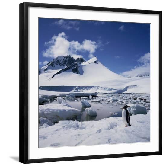 Photographic Print, , large