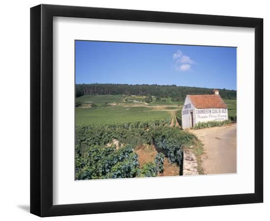 Premium Photographic Print, , large