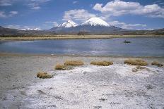 Volcan Parinacota on Right, Volcan Pomerape on Left, Volcanoes in the Lauca National Park, Chile-Geoff Renner-Photographic Print