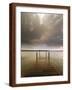 Brown Frame