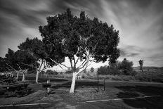 Vacationland (Three Stacked Chairs)-Geoffrey Ansel Agrons-Photographic Print