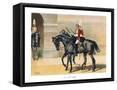 Framed Canvas