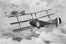 Italian Caproni Bomb-Carrying Biplane and Triplane 1917-Geoffrey Watson-Art Print