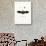 Geoffroy's Horseshoe Bat-null-Stretched Canvas displayed on a wall