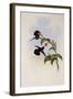 Geoffroy's Wedge-Bill, Schistes Geoffroyi-John Gould-Framed Giclee Print