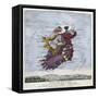 Geography Bewitched!, Droll Caricature Map of Ireland, ca.1796-null-Framed Stretched Canvas