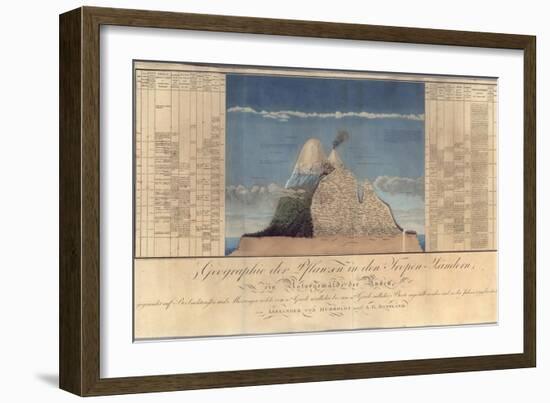 Geography of Plants in Tropical Countries, a Study of the Andes, Drawn by Schoenberger and…-Friedrich Alexander, Baron Von Humboldt-Framed Giclee Print