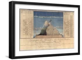 Geography of Plants in Tropical Countries, a Study of the Andes, Drawn by Schoenberger and…-Friedrich Alexander, Baron Von Humboldt-Framed Giclee Print