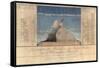 Geography of Plants in Tropical Countries, a Study of the Andes, Drawn by Schoenberger and…-Friedrich Alexander, Baron Von Humboldt-Framed Stretched Canvas