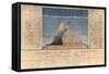 Geography of Plants in Tropical Countries, a Study of the Andes, Drawn by Schoenberger and…-Friedrich Alexander, Baron Von Humboldt-Framed Stretched Canvas