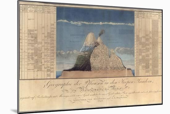 Geography of Plants in Tropical Countries, a Study of the Andes, Drawn by Schoenberger and…-Friedrich Alexander, Baron Von Humboldt-Mounted Premium Giclee Print