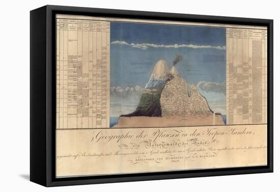 Geography of Plants in Tropical Countries, a Study of the Andes, Drawn by Schoenberger and…-Friedrich Alexander, Baron Von Humboldt-Framed Stretched Canvas