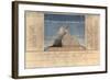 Geography of Plants in Tropical Countries, a Study of the Andes, Drawn by Schoenberger and…-Friedrich Alexander, Baron Von Humboldt-Framed Giclee Print