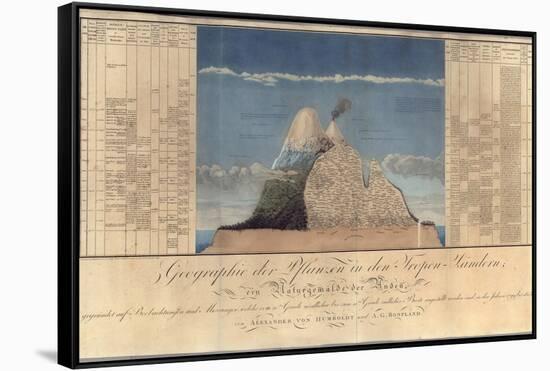 Geography of Plants in Tropical Countries, a Study of the Andes, Drawn by Schoenberger and…-Friedrich Alexander, Baron Von Humboldt-Framed Stretched Canvas