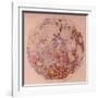 Geological Map of the Moon, 1967-null-Framed Giclee Print