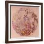 Geological Map of the Moon, 1967-null-Framed Giclee Print