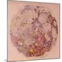 Geological Map of the Moon, 1967-null-Mounted Giclee Print