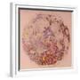 Geological Map of the Moon, 1967-null-Framed Giclee Print