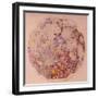 Geological Map of the Moon, 1967-null-Framed Giclee Print