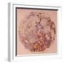 Geological Map of the Moon, 1967-null-Framed Giclee Print