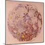 Geological Map of the Moon, 1967-null-Mounted Giclee Print