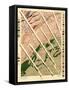 Geological Survey of Tennessee and North Carolina - Panoramic Map-Lantern Press-Framed Stretched Canvas