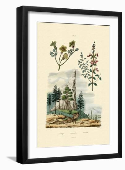 Geology, 1833-39-null-Framed Giclee Print