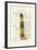 Geology, 1833-39-null-Framed Giclee Print