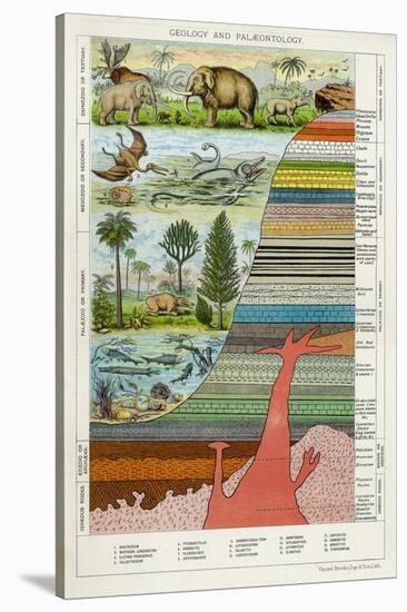 Geology and Palaeontology, C1880-null-Stretched Canvas