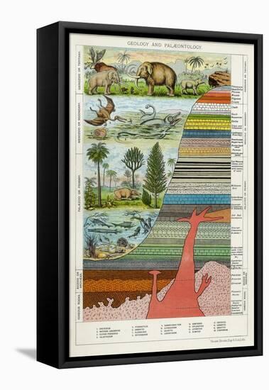 Geology and Palaeontology, C1880-null-Framed Stretched Canvas