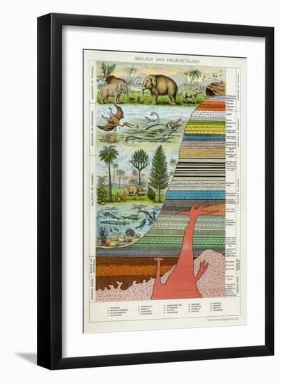 Geology and Palaeontology, C1880-null-Framed Giclee Print